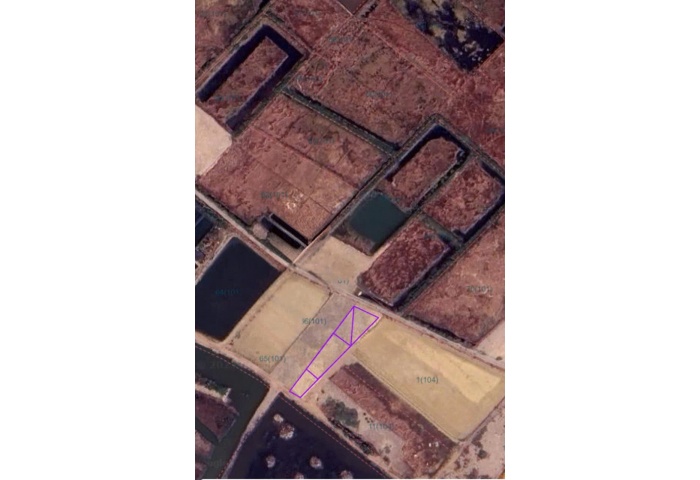 ĐẤT 2 MẶT TIỀN XÃ AN THỚI ĐÔNG - CẦN GIỜ